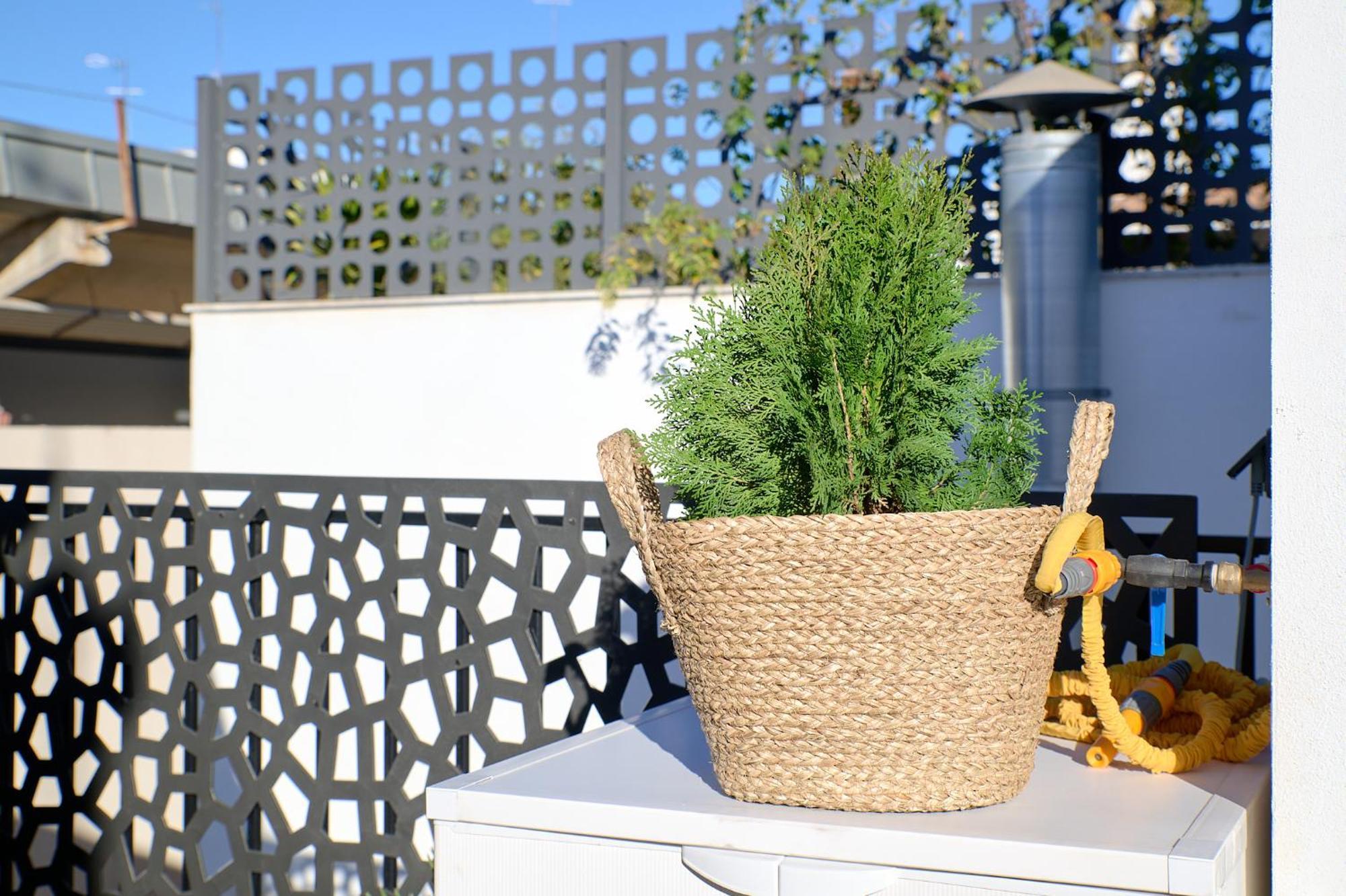 Palomar Appartement